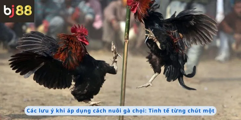 Các lưu ý khi áp dụng