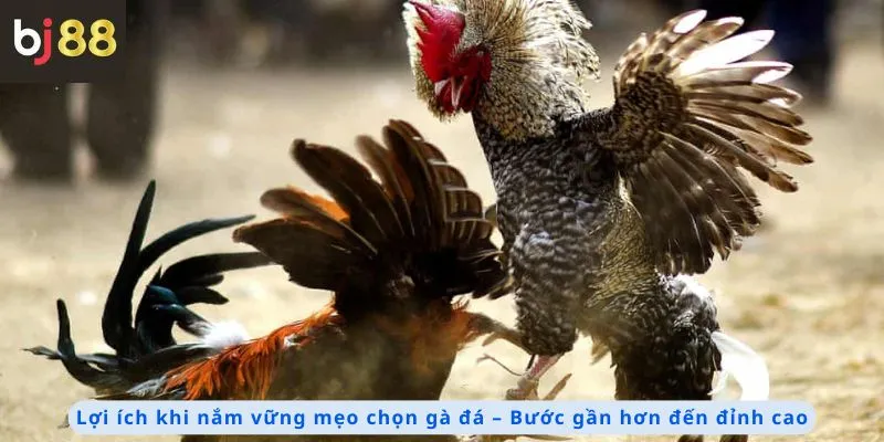 Lợi ích khi nắm vững mẹo