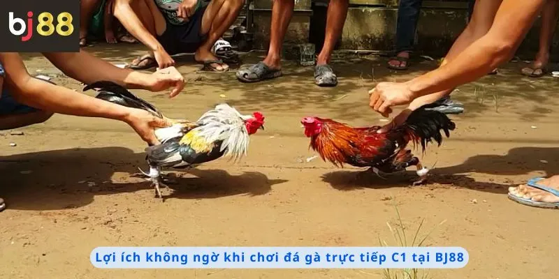 Lợi ích không ngờ khi chơi