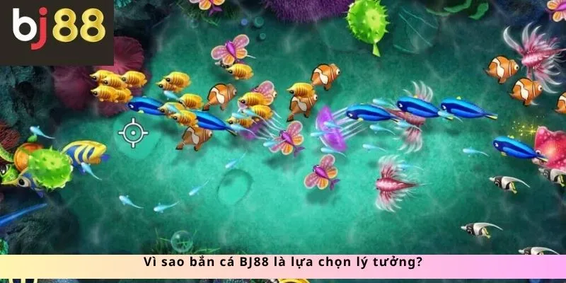Lý do là lựa chọn lý tưởng