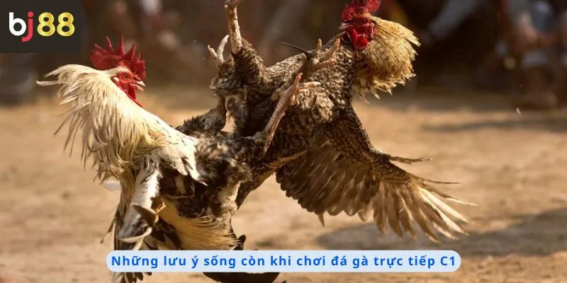 Những lưu ý sống còn khi chơi