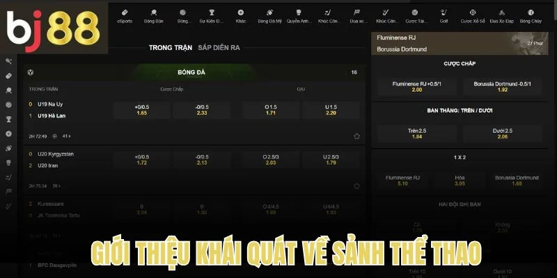 Giới thiệu khái quát nhất về thể thao
